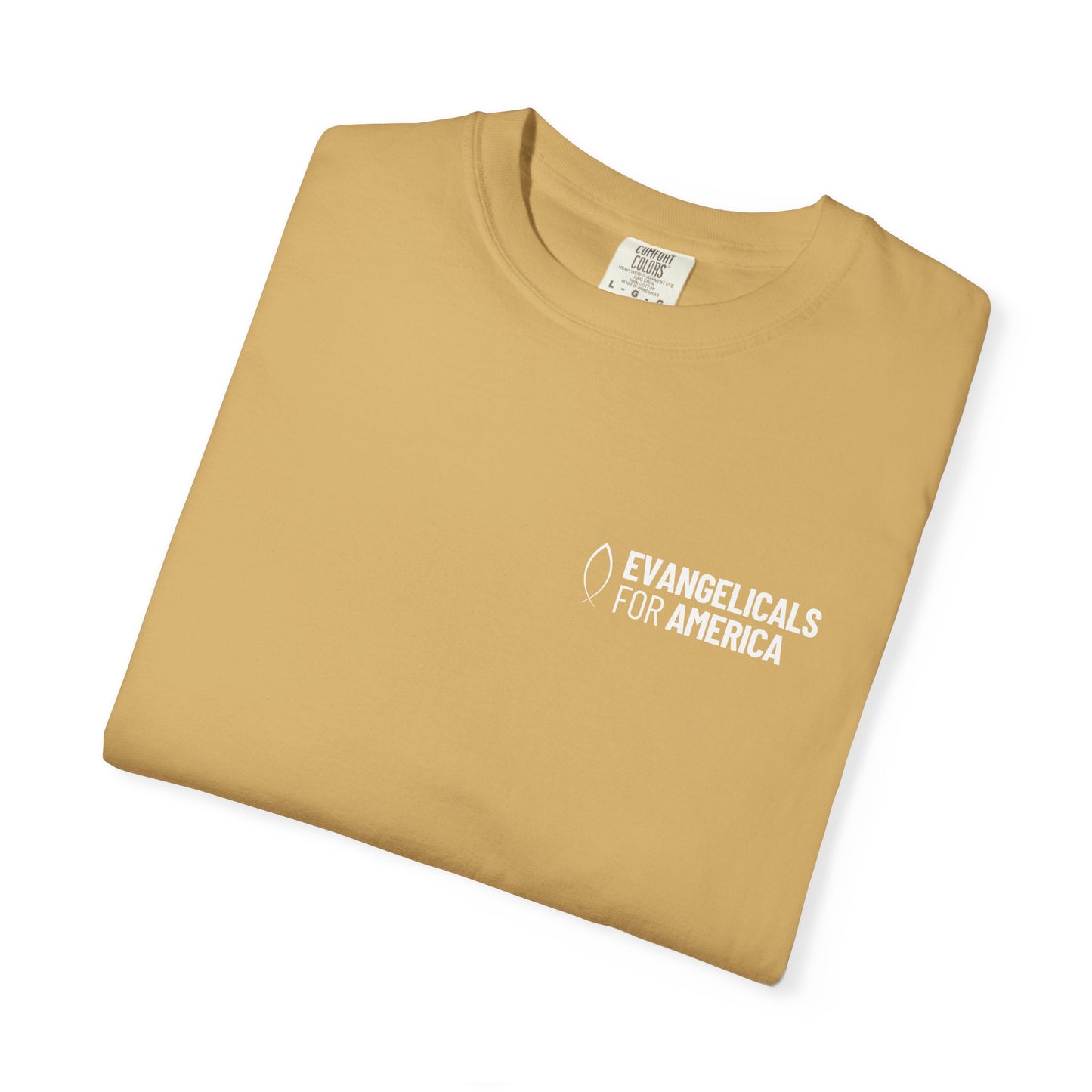 What A Friend We Have In Jesus T-Shirt