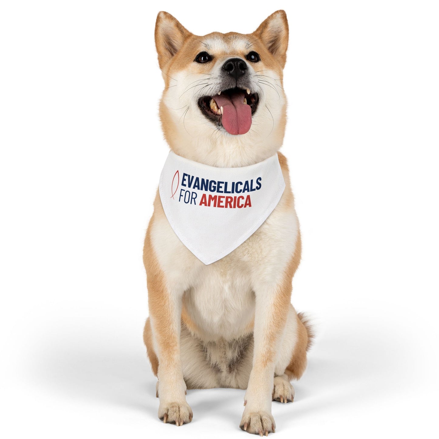 Evangelicals For America Pet Bandana Collar