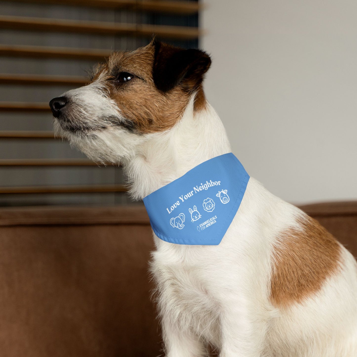 Love Your Neighbor Pet Bandana Collar