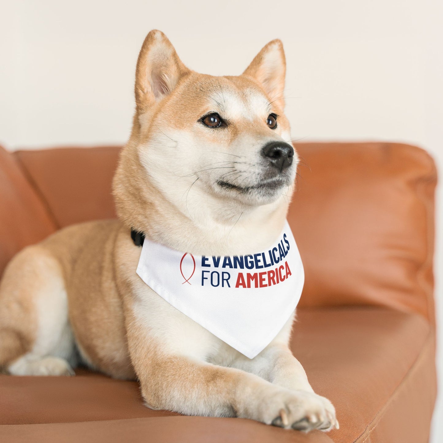 Evangelicals For America Pet Bandana Collar