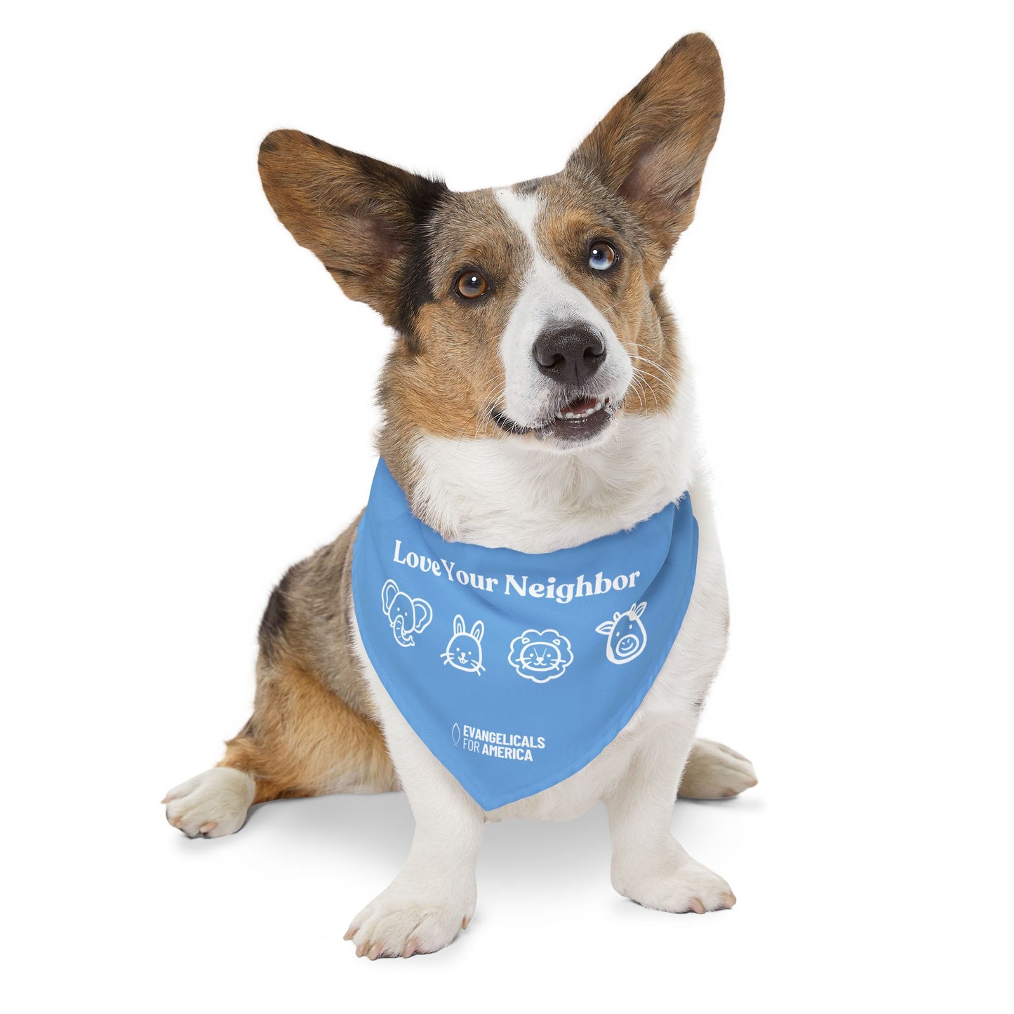 Love Your Neighbor Pet Bandana Collar