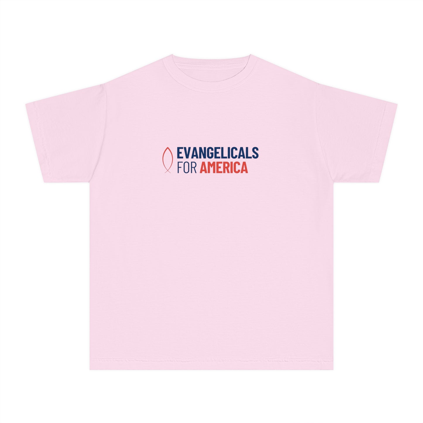 Youth Evangelicals For America x Joy Garment-Dyed Tee