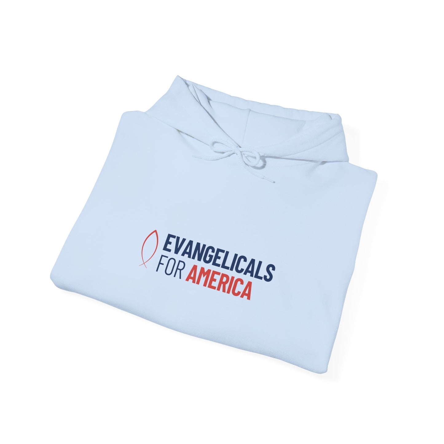 Evangelicals For America x Joy Hooded Sweatshirt