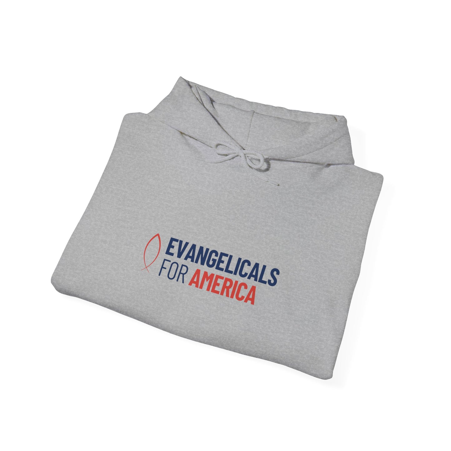 Evangelicals For America x Joy Hooded Sweatshirt