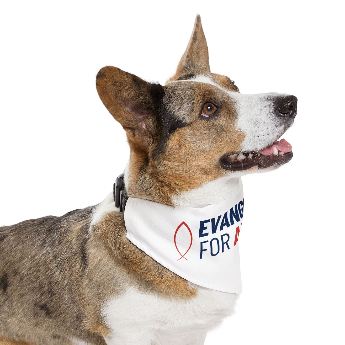 Evangelicals For America Pet Bandana Collar