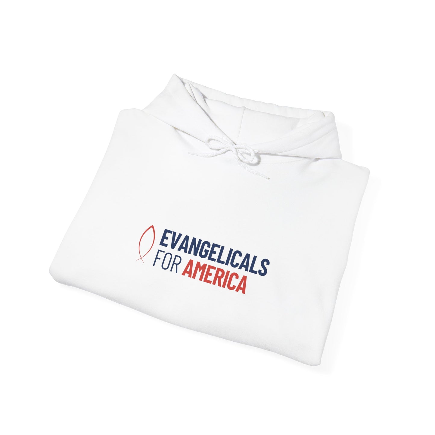 Evangelicals For America x Joy Hooded Sweatshirt