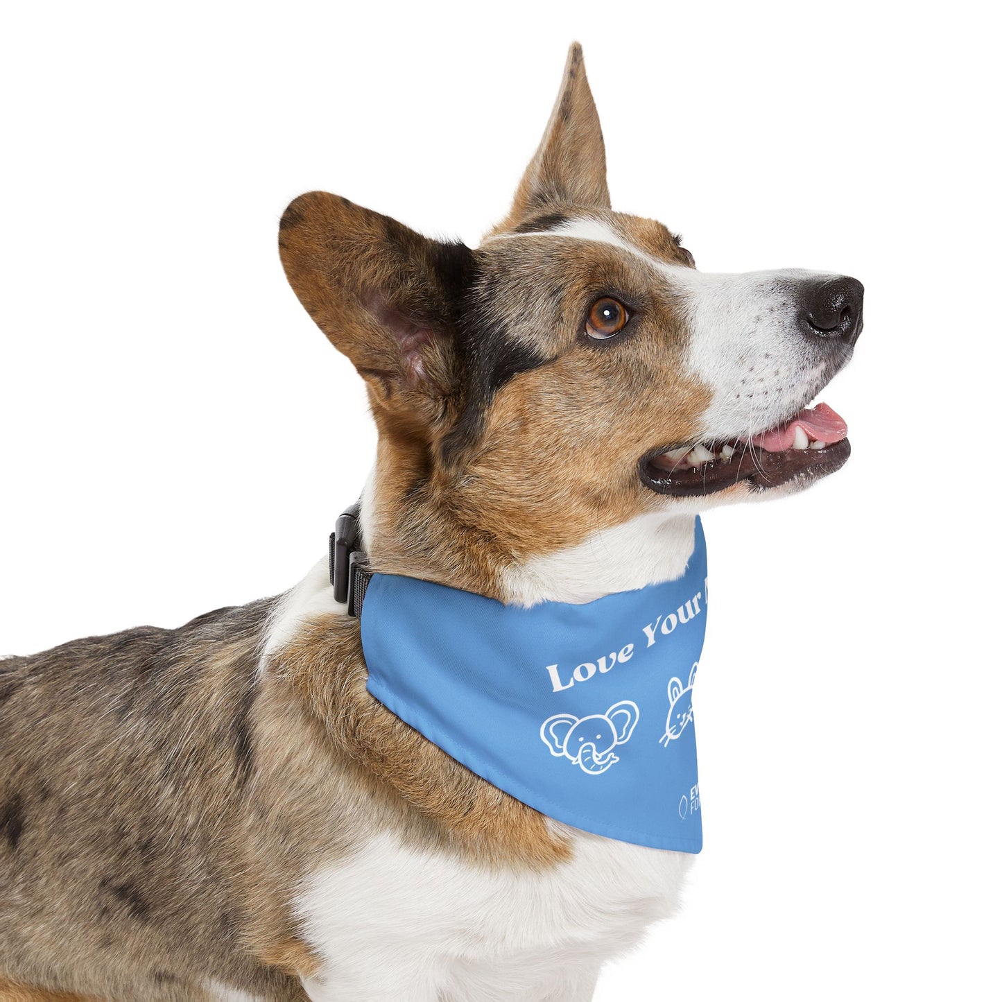 Love Your Neighbor Pet Bandana Collar