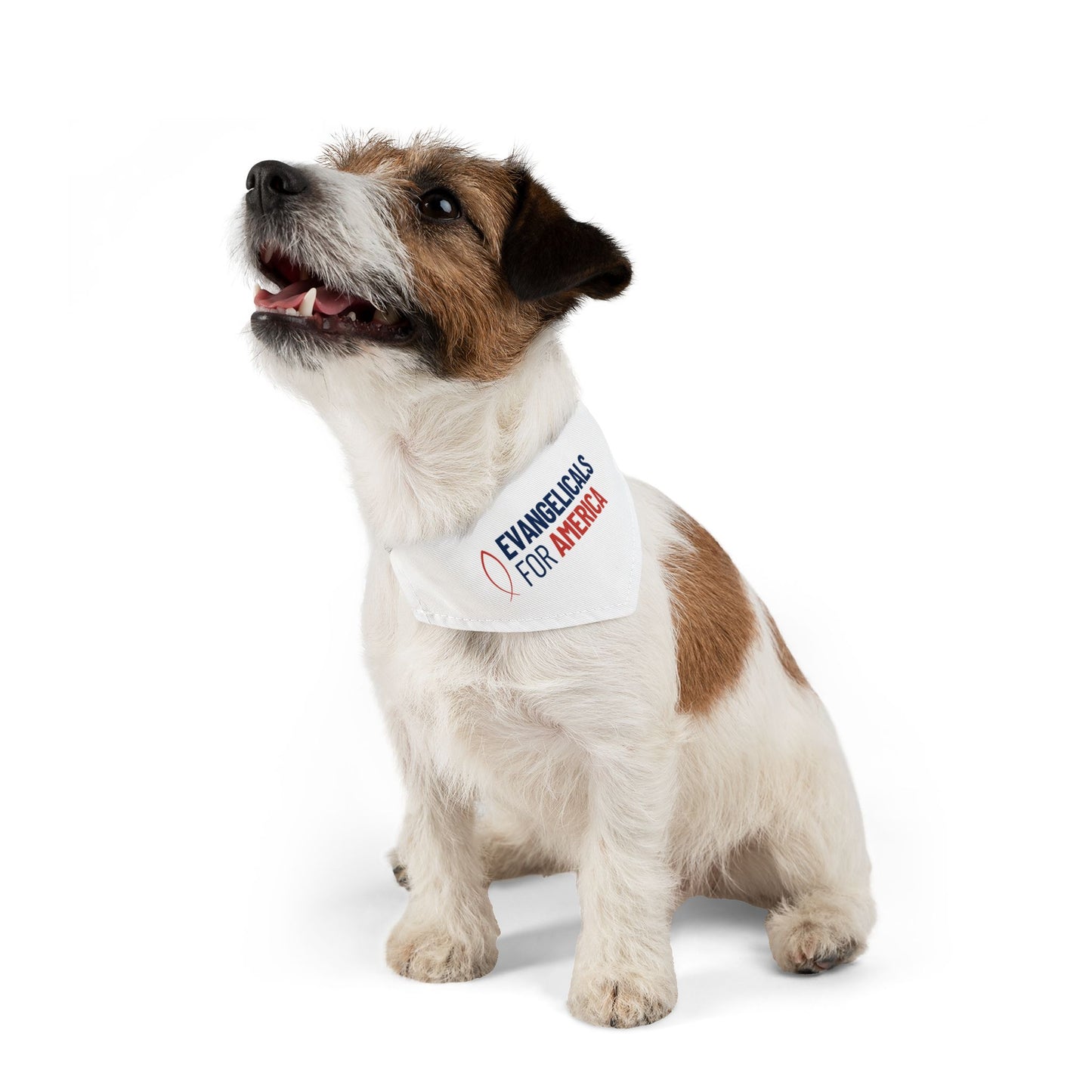 Evangelicals For America Pet Bandana Collar