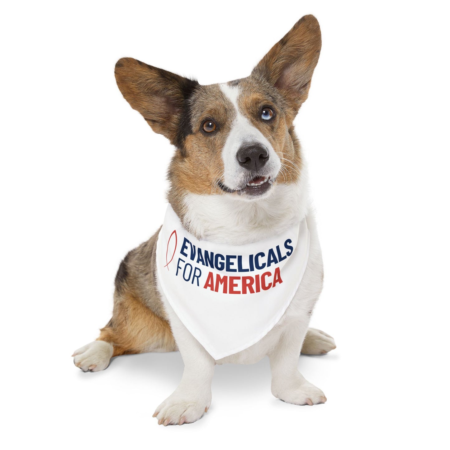 Evangelicals For America Pet Bandana Collar