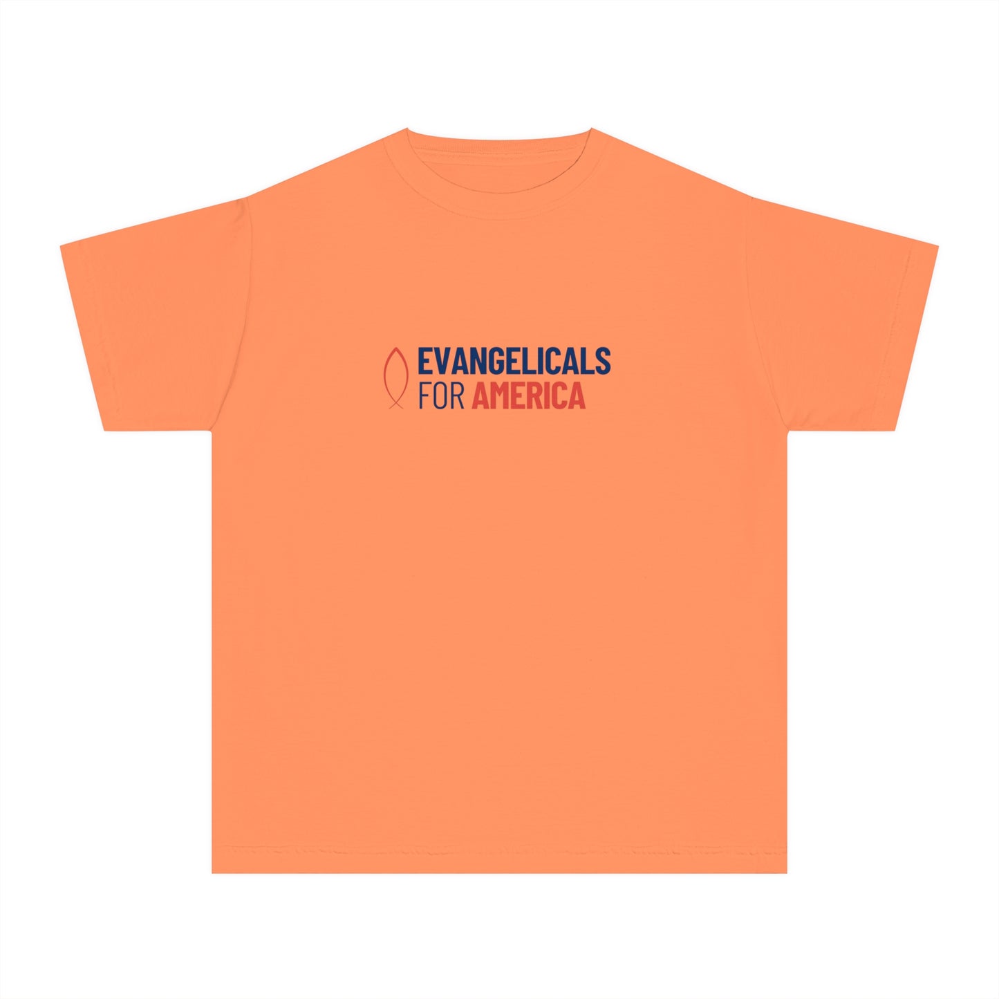 Youth Evangelicals For America x Joy Garment-Dyed Tee